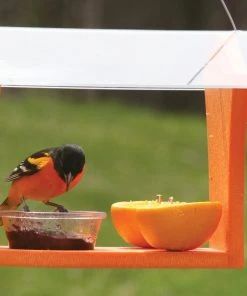 Birds Choice Green Solutions Oriole Feeder Bird Feeders
