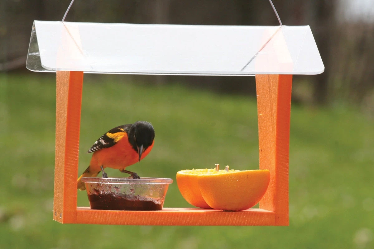 Birds Choice Green Solutions Oriole Feeder Bird Feeders