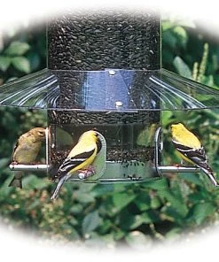 Birds Choice Classic Feeder Weatherguard