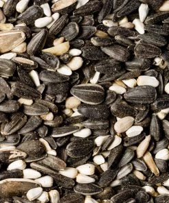 Scarlett Bird Feeder Accessories Backyard Best Mix - Bird Seed