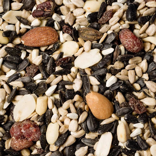 Scarlett Bird Feeder Accessories Deluxe Bird Seed Mix With Fruit & Berries