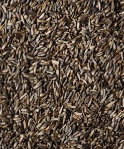 Scarlett Bird Feeder Accessories Nyjer Seed - Thistle Seed