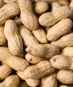 Scarlett Peanuts In Shell Bird Feeder Accessories