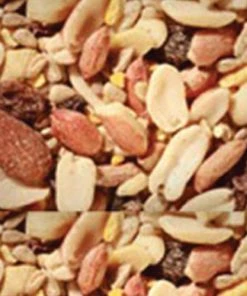 Scarlett Deluxe Woodpecker, Jay, Flicker Blend- Bird Seed