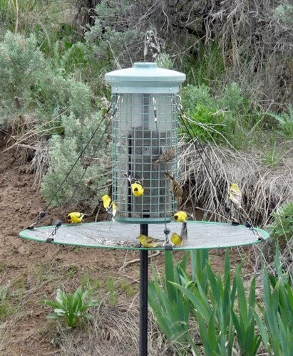 Songbird Essentials The Seed Hoop - Seed Catcher And Platform Bird Feeder