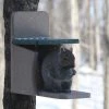 Squirrel Feeders Birds Choice RECYCLED SQUIRREL MUNCH BOX