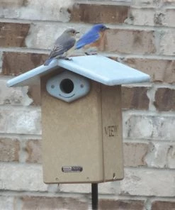 Birds Choice Recycled Ultimate Bluebird House Bird Houses