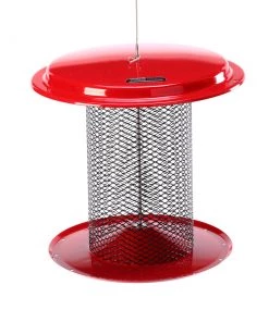 Birds Choice 5 Quart Metal Sunflower Feeder